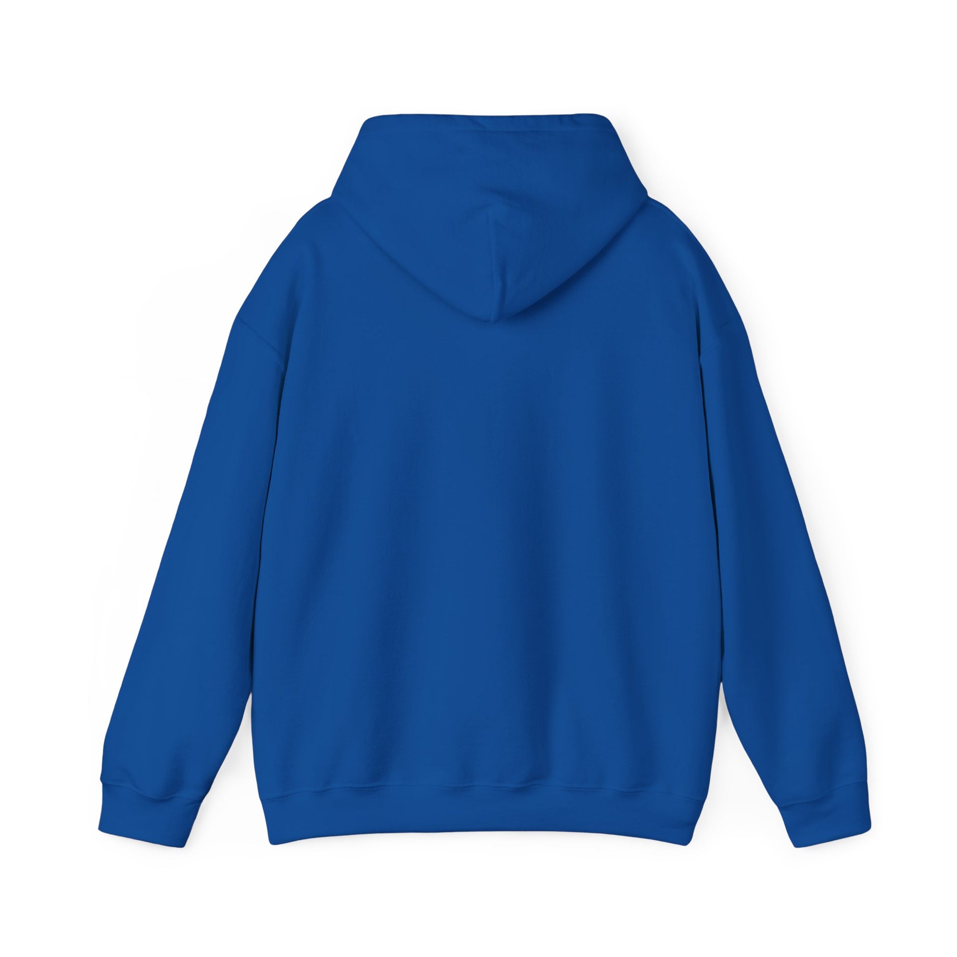 Christian Hooded Sweatshirt He Is Risen Jesus TShirt