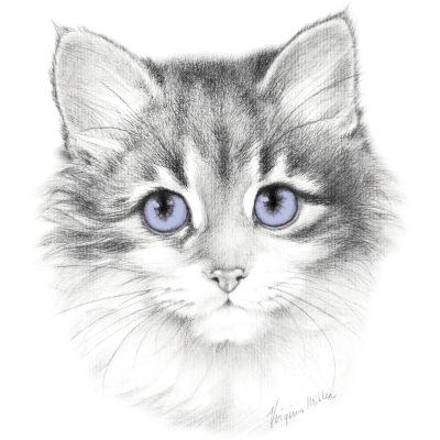 Women's Cat Lavender Eyed Kitten Tee