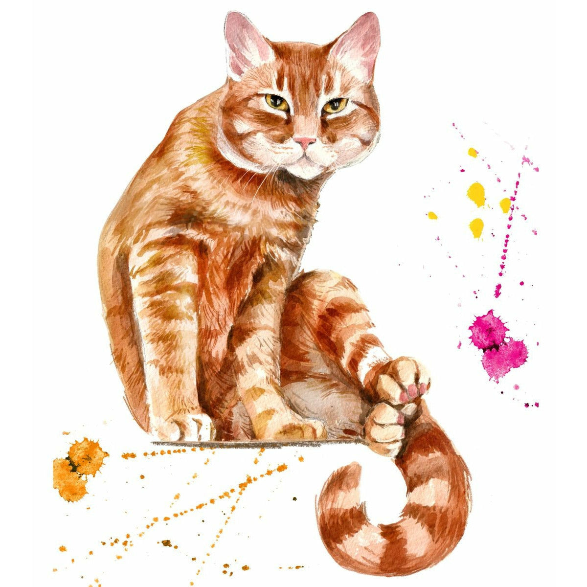 Women's Tee Cute Tabby Cat Tee