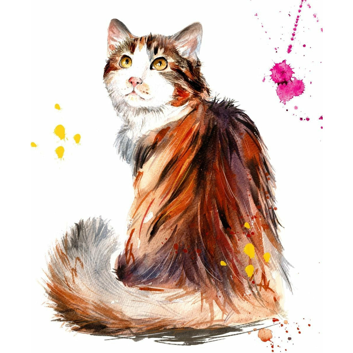 Women's Tee Brown Cat Cute Animal Tee